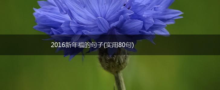 2016新年福的句子(实用80句),第1张