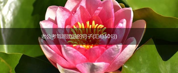 老公考驾照加油的句子(汇总50句),第1张