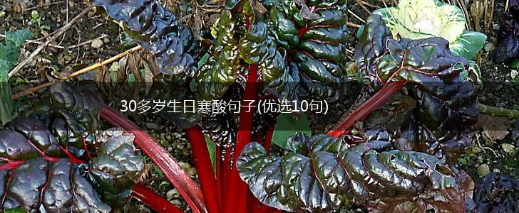 30多岁生日寒酸句子(优选10句),第1张