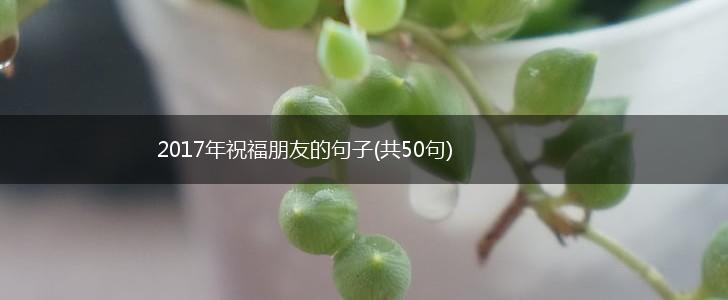 2017年祝福朋友的句子(共50句),第1张