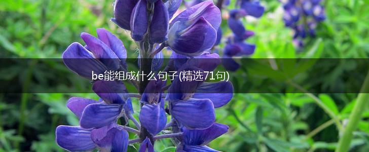 be能组成什么句子(精选71句),第1张