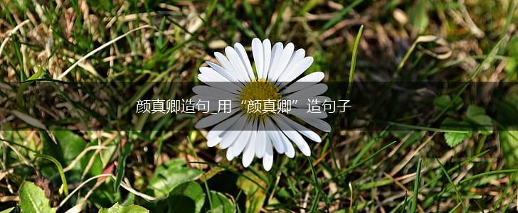 颜真卿造句_用“颜真卿”造句子,第1张