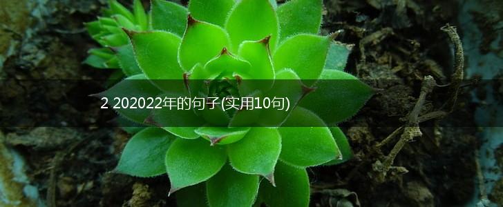 2 202022年的句子(实用10句),第1张