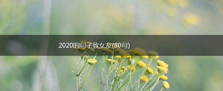 2020的句子致女友(80句),第1张