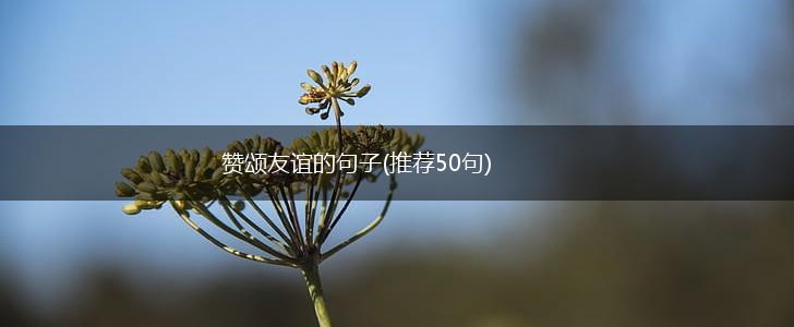 赞颂友谊的句子(推荐50句),第1张