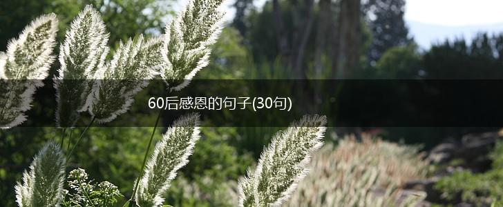 60后感恩的句子(30句),第1张