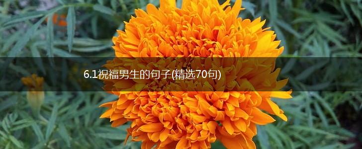 6.1祝福男生的句子(精选70句),第1张