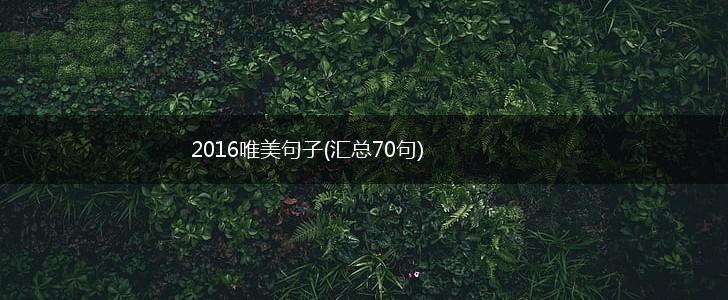 2016唯美句子(汇总70句),第1张