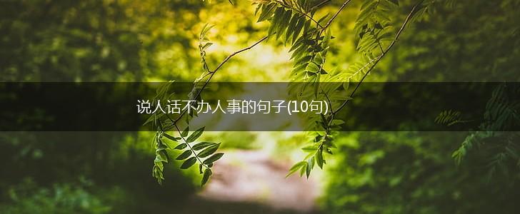 说人话不办人事的句子(10句),第1张