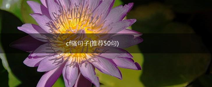cf骚句子(推荐50句),第1张