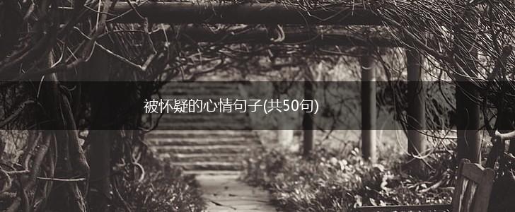 被怀疑的心情句子(共50句),第1张