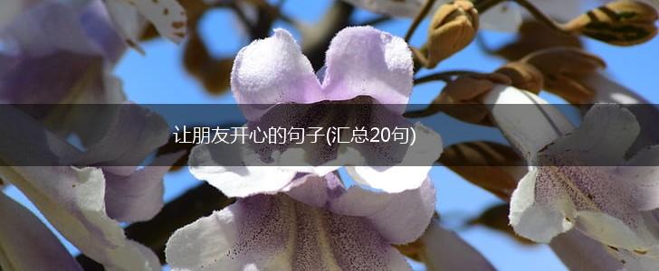 让朋友开心的句子(汇总20句),第1张