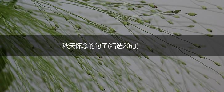 秋天怀念的句子(精选20句),第1张
