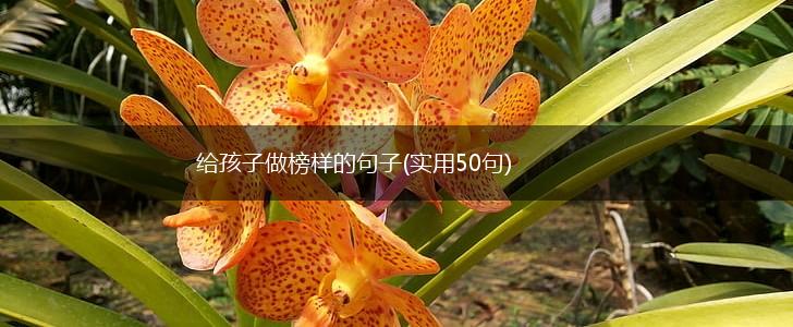 给孩子做榜样的句子(实用50句),第1张
