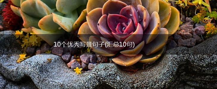10个优秀写景句子(汇总10句),第1张
