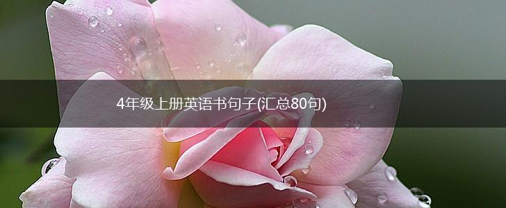 4年级上册英语书句子(汇总80句),第1张