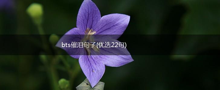 bts催泪句子(优选22句),第1张