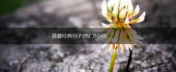 藤蔓经典句子(热门50句),第1张
