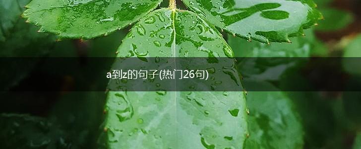 a到z的句子(热门26句),第1张