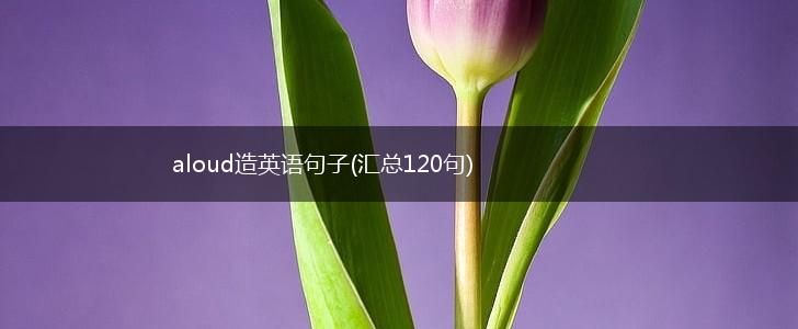 aloud造英语句子(汇总120句),第1张