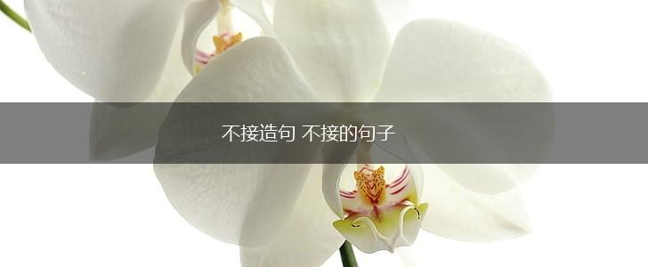不接造句 不接的句子,第1张