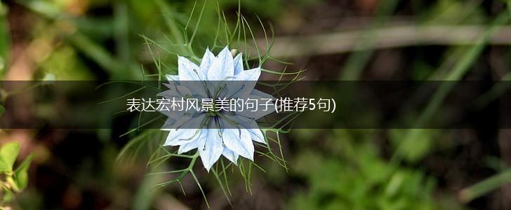 表达宏村风景美的句子(推荐5句),第1张