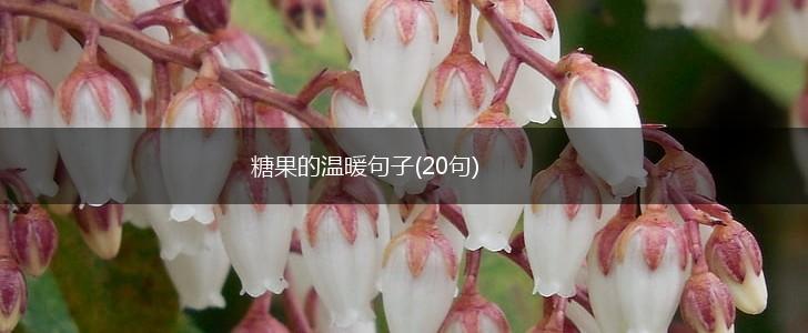 糖果的温暖句子(20句),第1张