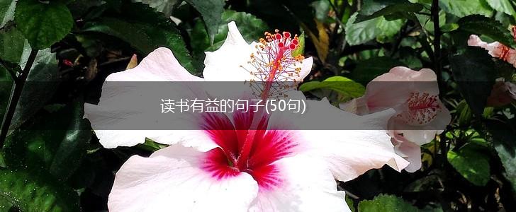 读书有益的句子(50句),第1张