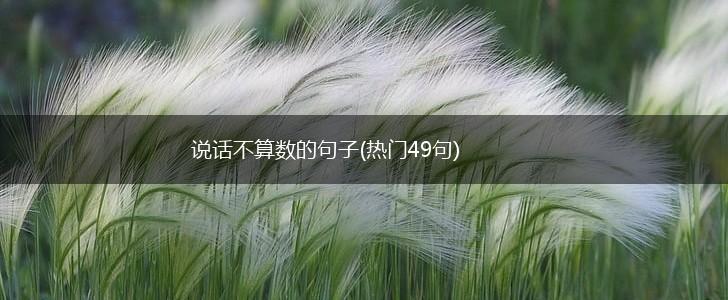 说话不算数的句子(热门49句),第1张