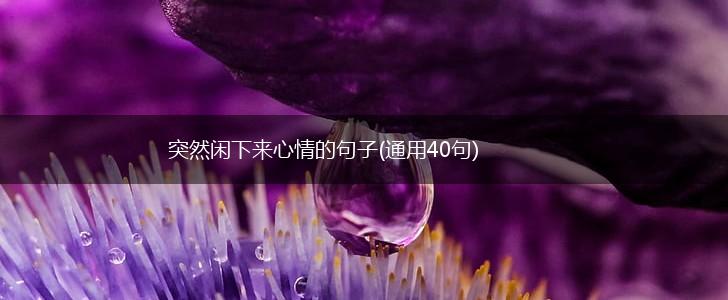 突然闲下来心情的句子(通用40句),第1张