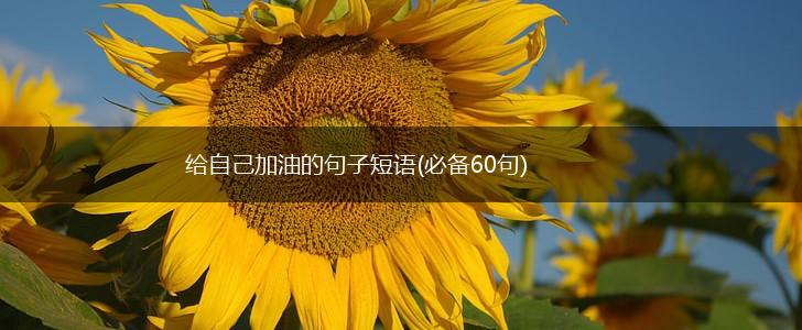 给自己加油的句子短语(必备60句),第1张