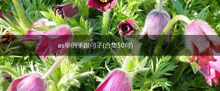as举例子跟句子(合集50句),第1张