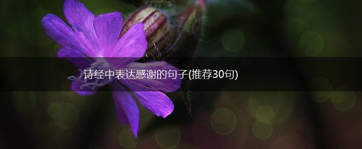 诗经中表达感谢的句子(推荐30句),第1张