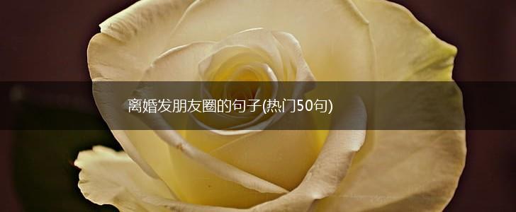 离婚发朋友圈的句子(热门50句),第1张