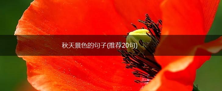 秋天景色的句子(推荐20句),第1张