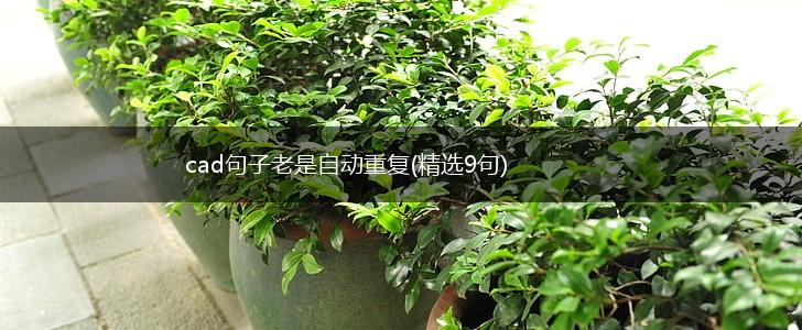 cad句子老是自动重复(精选9句),第1张