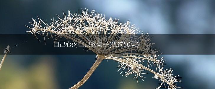 自己心疼自己的句子(优选50句),第1张