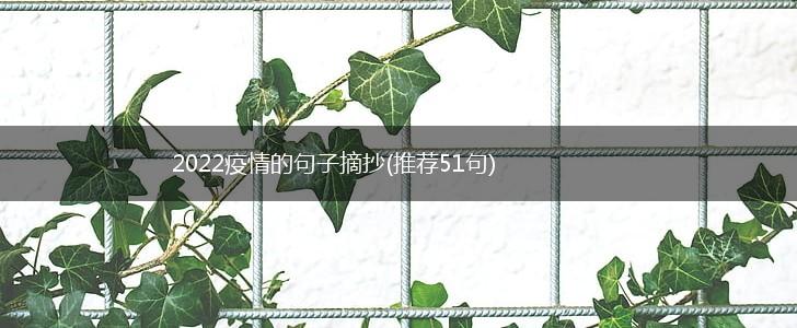 2022疫情的句子摘抄(推荐51句),第1张