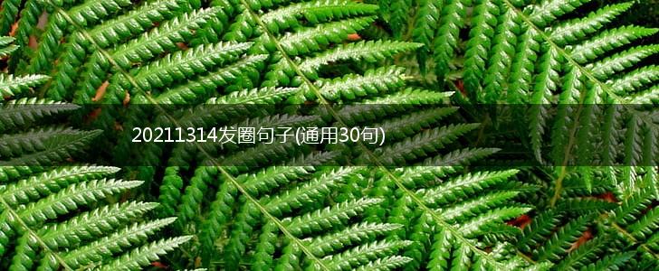 20211314发圈句子(通用30句),第1张