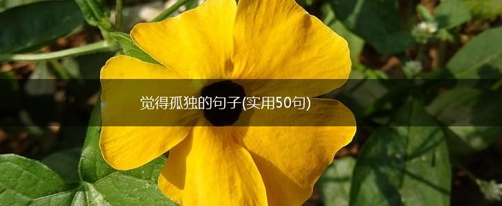 觉得孤独的句子(实用50句),第1张