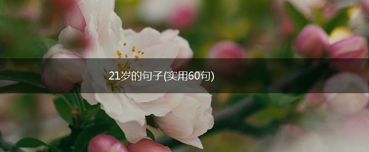 21岁的句子(实用60句),第1张
