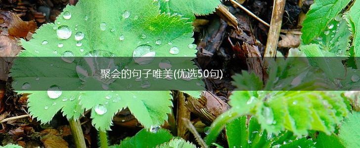 聚会的句子唯美(优选50句),第1张