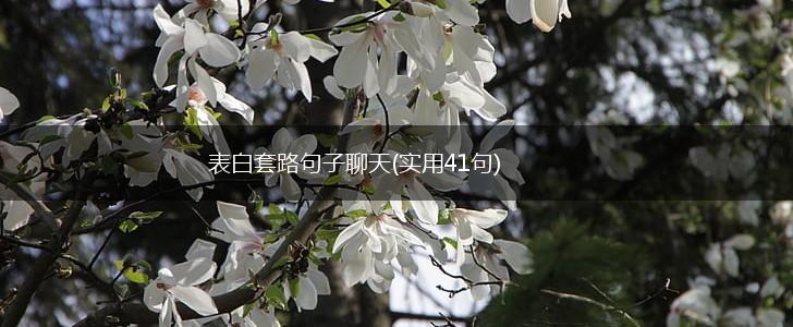表白套路句子聊天(实用41句),第1张