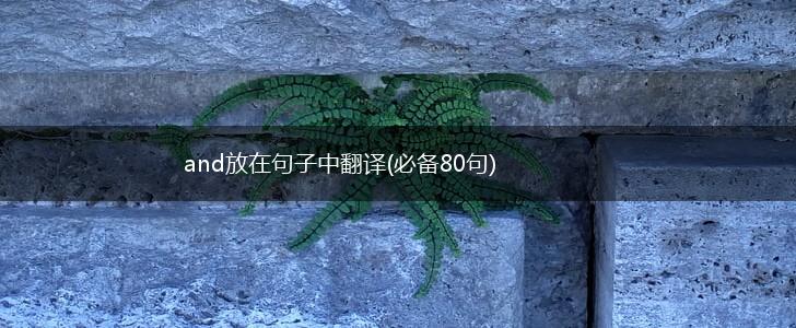 and放在句子中翻译(必备80句),第1张