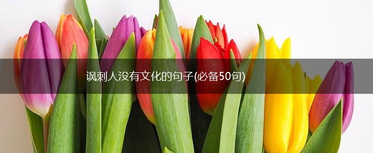 讽刺人没有文化的句子(必备50句),第1张