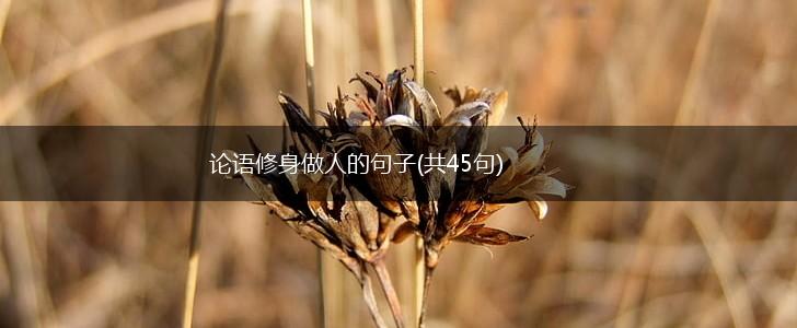 论语修身做人的句子(共45句),第1张
