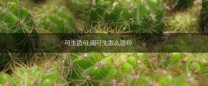 可生造句,用可生怎么造句,第1张
