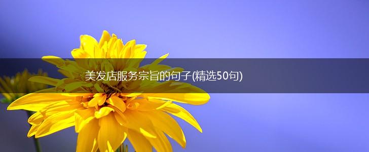 美发店服务宗旨的句子(精选50句),第1张