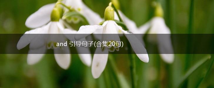 and 引导句子(合集20句),第1张