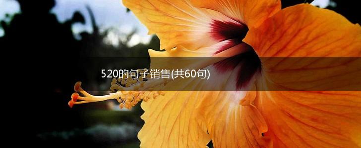 520的句子销售(共60句),第1张